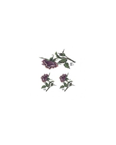 Gülsün Ülkü 17*25 G-18