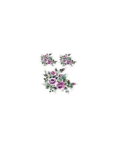 Gülsün Ülkü 17*25 G-19