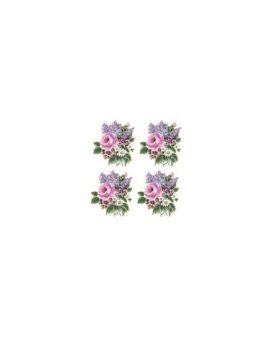 Gülsün Ülkü 17*25 G-22