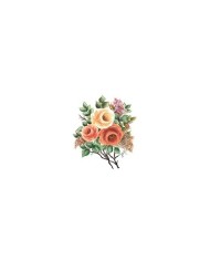Gülsün Ülkü 17*25 G-30