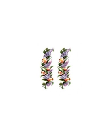 Gülsün Ülkü 17*25 G-42