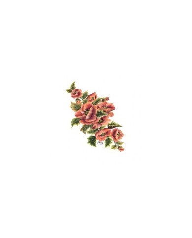 Gülsün Ülkü 17*25 G-94