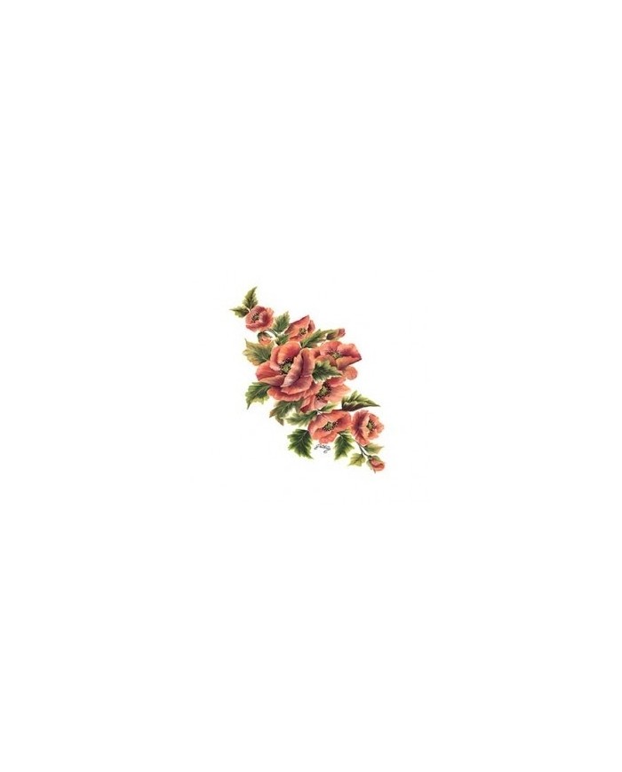 Gülsün Ülkü 17*25 G-94