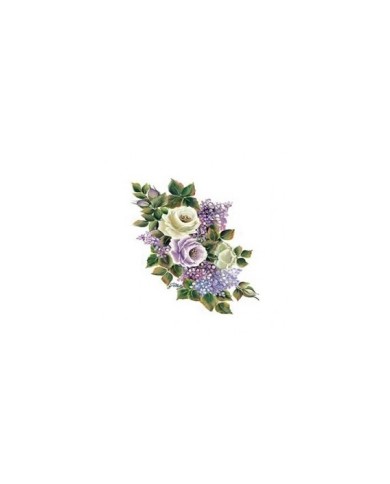 Gülsün Ülkü 17*25 G-95