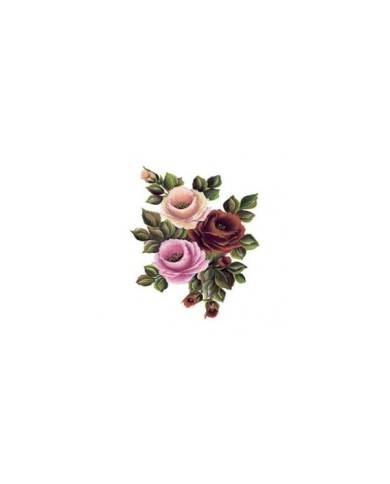 Gülsün Ülkü 17*25 G-158