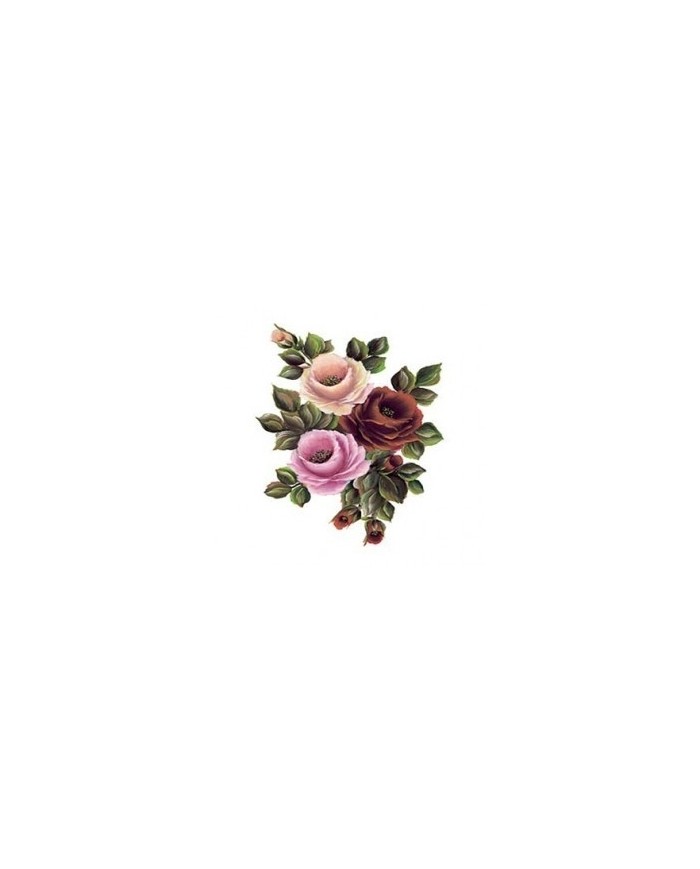 Gülsün Ülkü 17*25 G-158