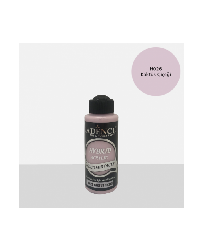 Hybrit (Multi Surface) Boya Kaktüs Çiçeği 120 ml - H-026