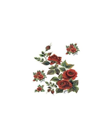 Gülsün Ülkü 25*35 G-67