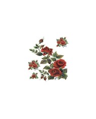 Gülsün Ülkü 25*35 G-61