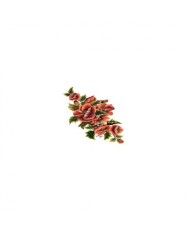 Gülsün Ülkü 25*35 G-67