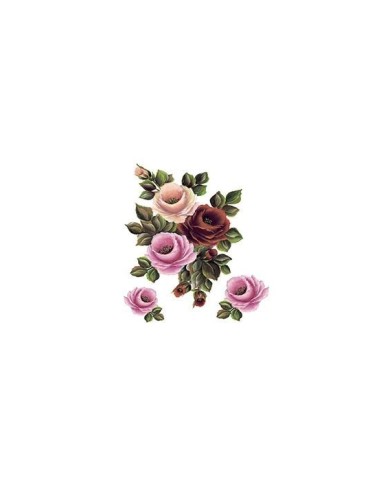 Gülsün Ülkü 25*35 G-75