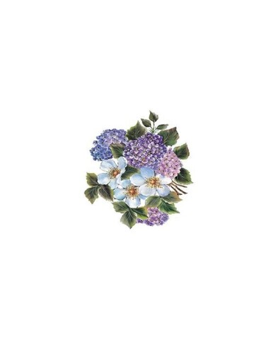 Gülsün Ülkü 25*35 G-81