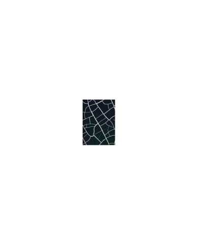 Renkli Çatlatma Jade (70ml.+120ml) C-1007
