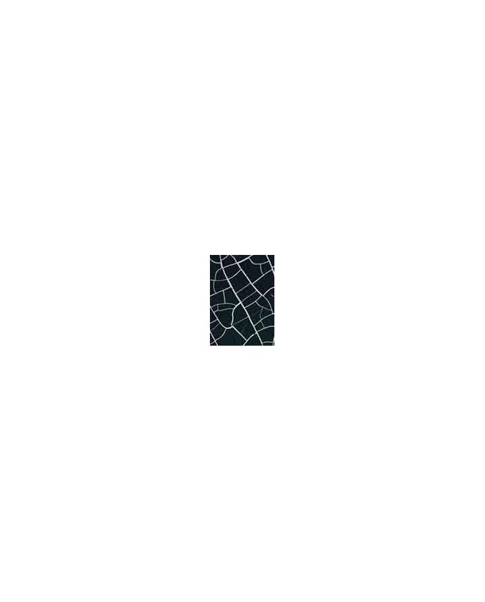 Renkli Çatlatma Jade (70ml.+120ml) C-1007