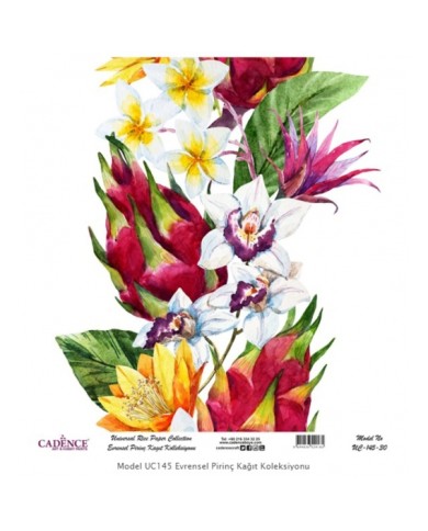 Model UC145 Evrensel Pirinç Kağıt Koleksiyonu 60x62 Cm