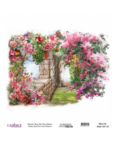 Model WFC027 Sulu Boya Çiçek Pirinç Kağıt Koleksiyonu 60x62