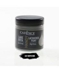 Cadence Handy Lake Boya L57 Koyu Gri (250ml)