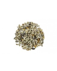 Epoksi Reçine Süsleme Deniz Kabuğu Nassa Shell 100 gr