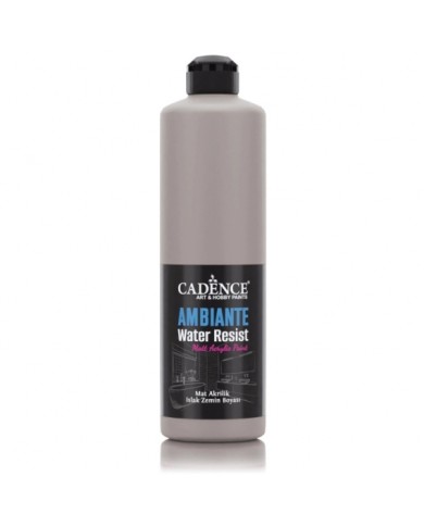 AW19 Vizon Gri Ambiante Islak Zemin Boyası 500ML + Katalizör 20GR