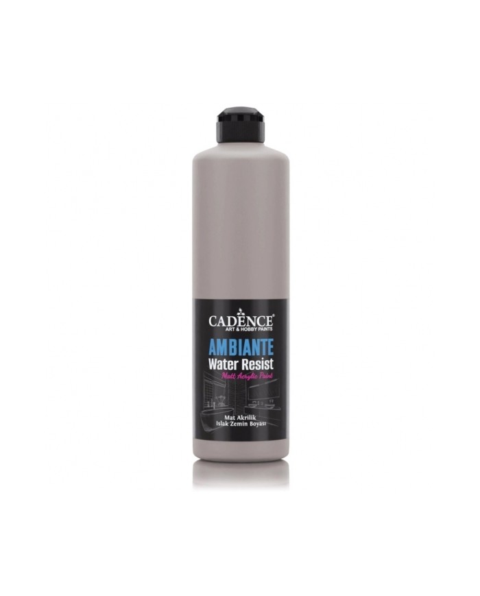 AW19 Vizon Gri Ambiante Islak Zemin Boyası 500ML + Katalizör 20GR
