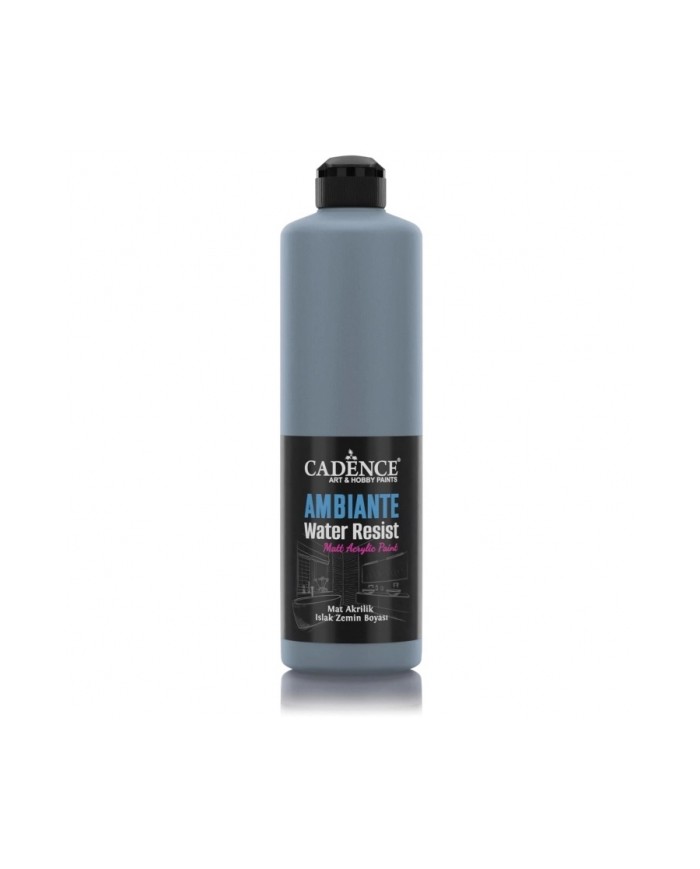 AW20 Koyu Arduvaz Gri Ambiante Islak Zemin Boyası 500ML + Katalizör 20GR