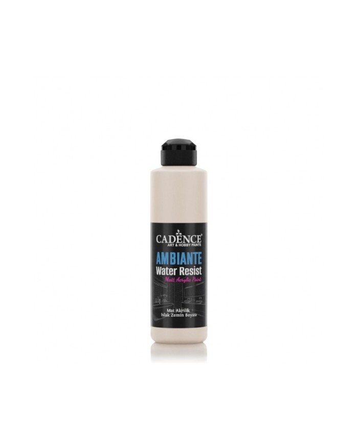 AW06 Dantel Ambiante Islak Zemin Boyası 250ML + Katalizör 10GR