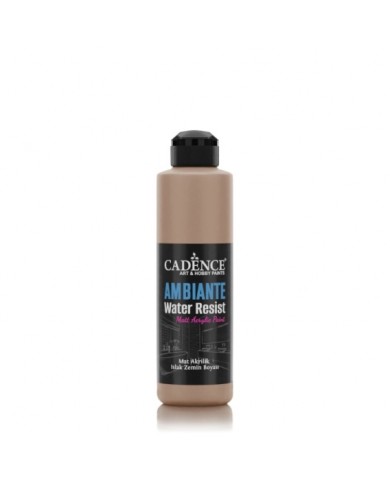 AW16 Karton Ambiante Islak Zemin Boyası 250ML + Katalizör 10GR