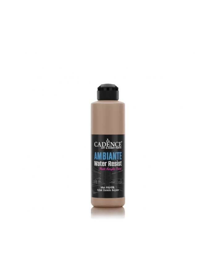 AW16 Karton Ambiante Islak Zemin Boyası 250ML + Katalizör 10GR