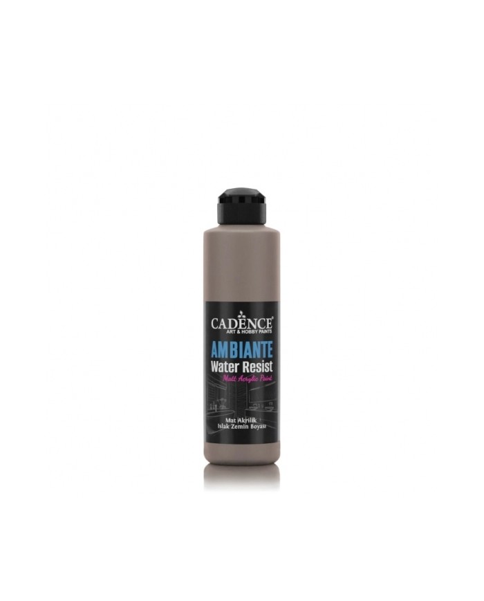 AW17 Vizon Ambiante Islak Zemin Boyası 250ML + Katalizör 10GR
