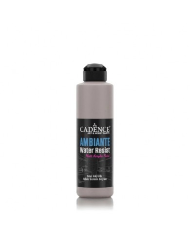 AW19 Vizon Gri Ambiante Islak Zemin Boyası 250ML + Katalizör 10GR