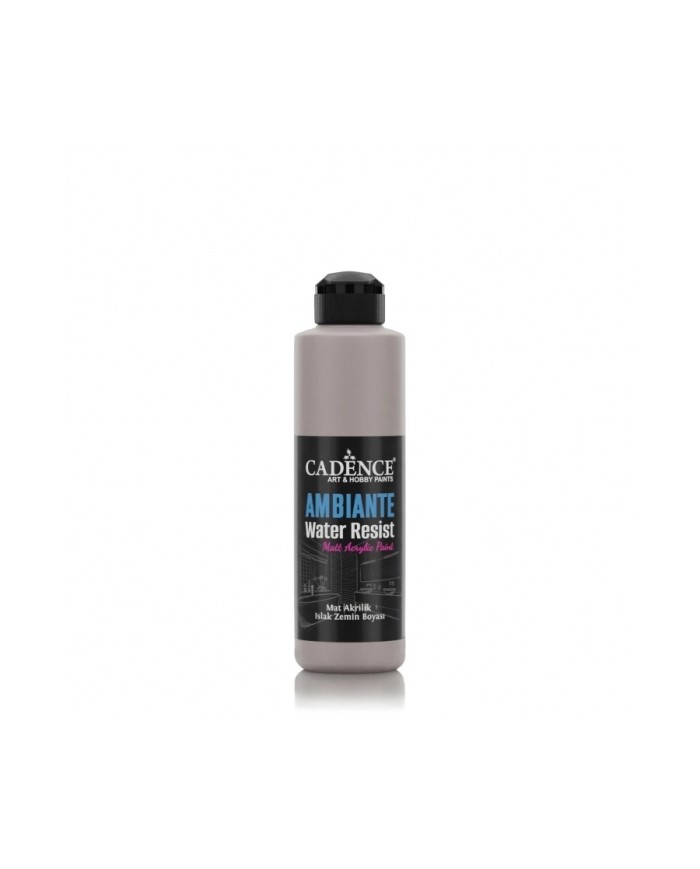 AW19 Vizon Gri Ambiante Islak Zemin Boyası 250ML + Katalizör 10GR