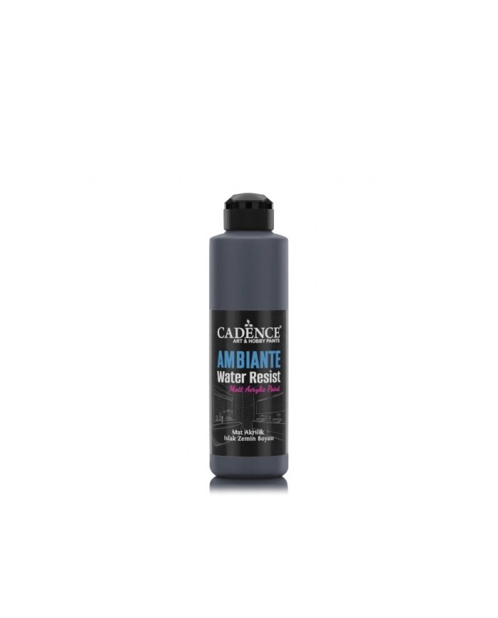 AW23 Antrasit Siyah Ambiante Islak Zemin Boyası 250ML + Katalizör 10GR