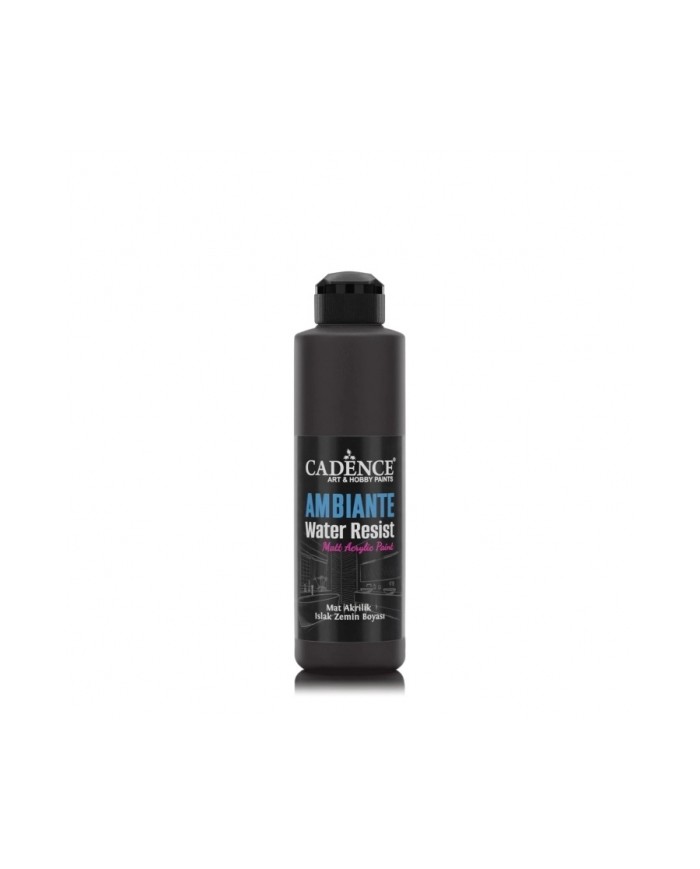 AW24 Siyah Ambiante Islak Zemin Boyası 250ML + Katalizör 10GR