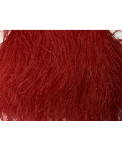 Deve Kuşu Tüyü Kırmızı 1 Metre