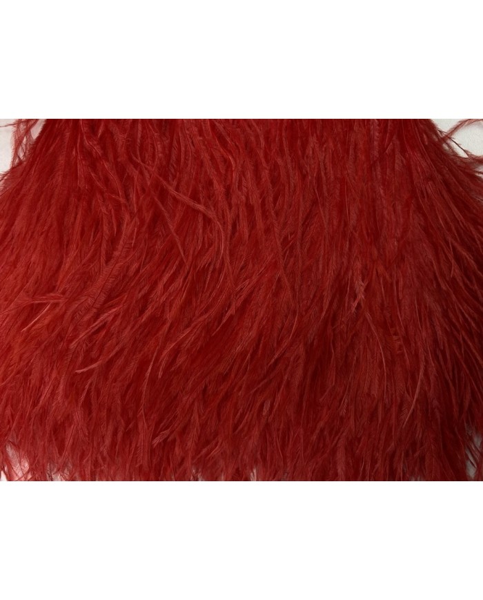 Deve Kuşu Tüyü Kırmızı 1 Metre