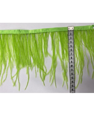 Deve Kuşu Tüyü Fıstık Yeşili 1 Metre Deve Kuşu Tüyü Fıstık Yeşili 1 Metre