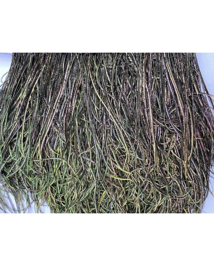 Deve Kuşu Tüyü Tavus Rengi 1 Metre