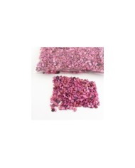 Deniz Kabuğu Kırığı - Renk Seçmeli - 25 gr