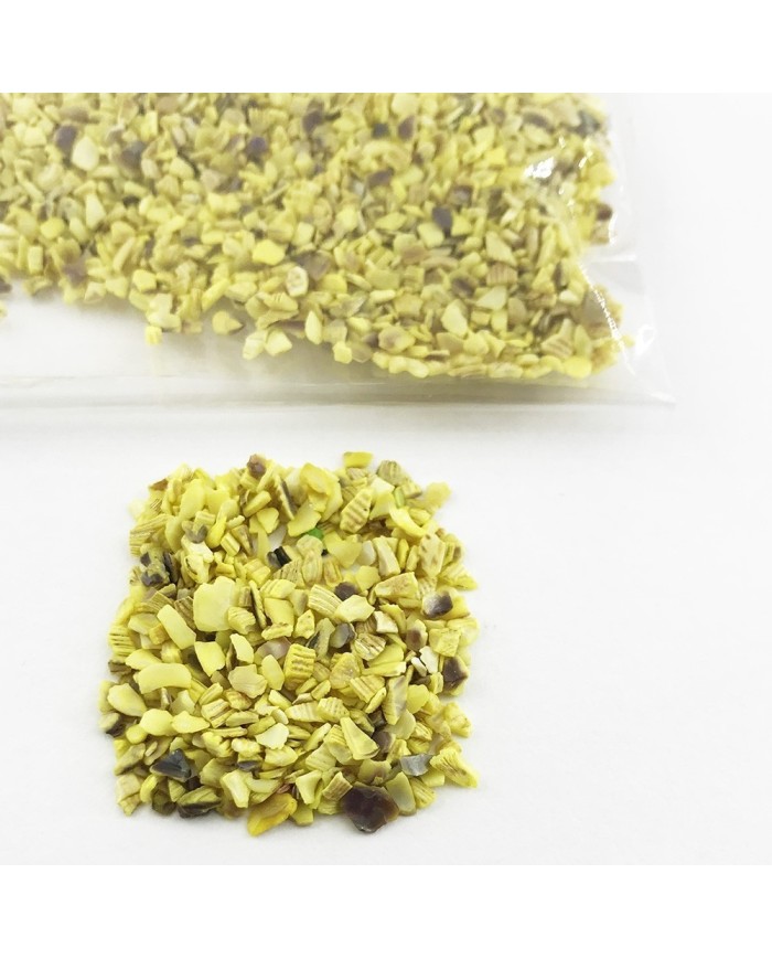 Deniz Kabuğu Kırığı - Renk Seçmeli - 25 gr