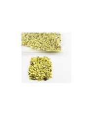 Deniz Kabuğu Kırığı - Renk Seçmeli - 25 gr