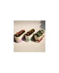 Oval Silikon Beton Saksı Kalıbı