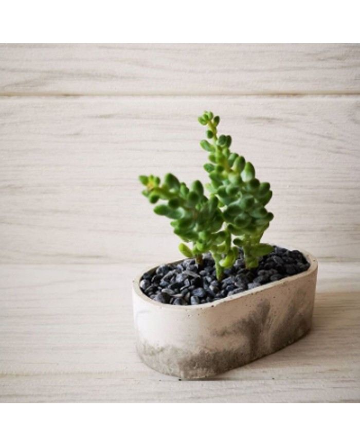 Oval Silikon Beton Saksı Kalıbı