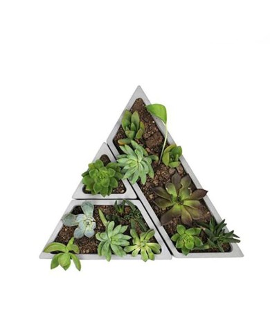 Beton Saksı ve Dekoratif Kalıbı Seti