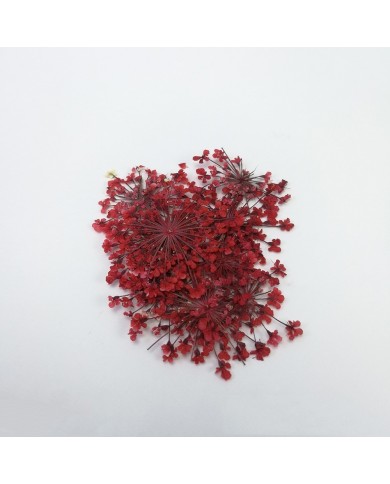 Sultan Otu - Kurutulmuş Çiçek - Kırmızı - 10 adet Sultan Otu - Kurutulmuş Çiçek - Kırmızı - 10 adet