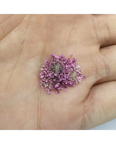 Sultan Otu - Kurutulmuş Çiçek - Açık Mor - 10 adet Sultan Otu - Kurutulmuş Çiçek - Açık Mor - 10 adet