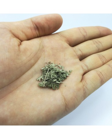 Kurutulmuş Aşk Merdiveni Mini demet