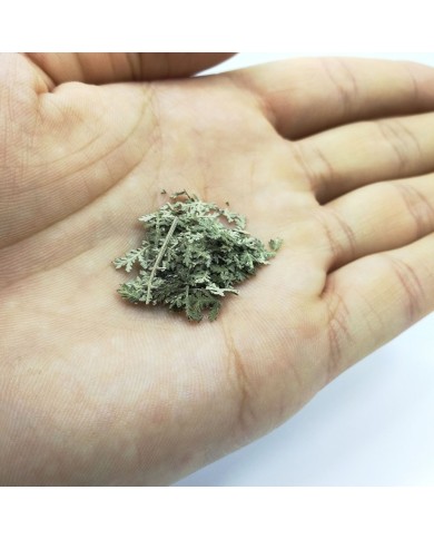Kurutulmuş Aşk Merdiveni Mini demet