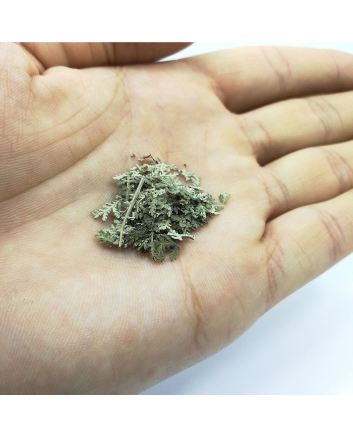 Kurutulmuş Aşk Merdiveni Mini demet
