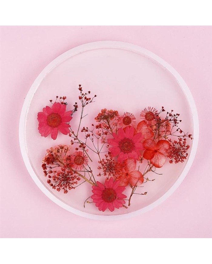 5 Adet Daire Model - Reçine Epoksi Kalıp 24 cm - T13