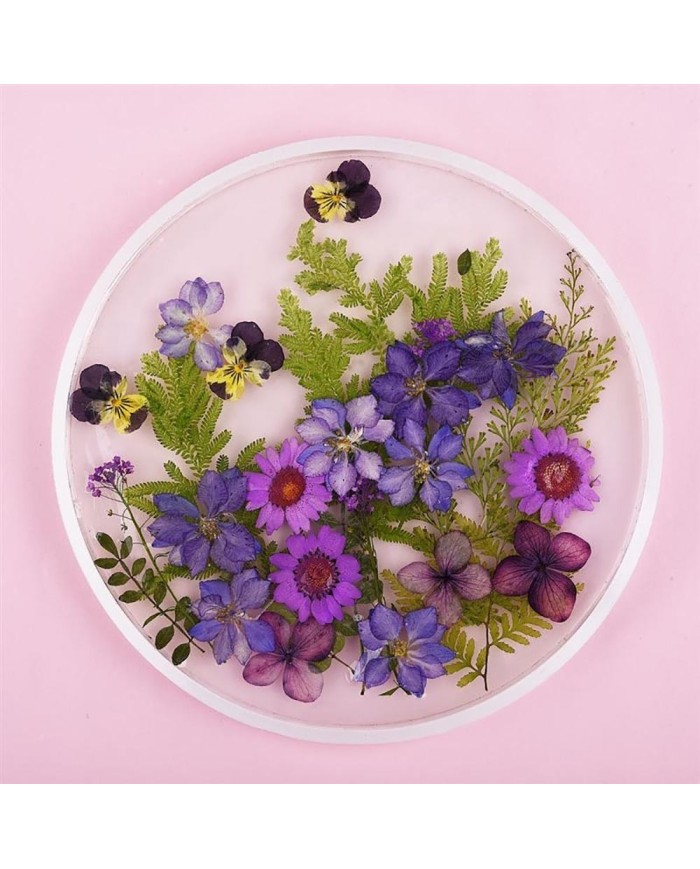 5 Adet Daire Model - Reçine Epoksi Kalıp 24 cm - T13